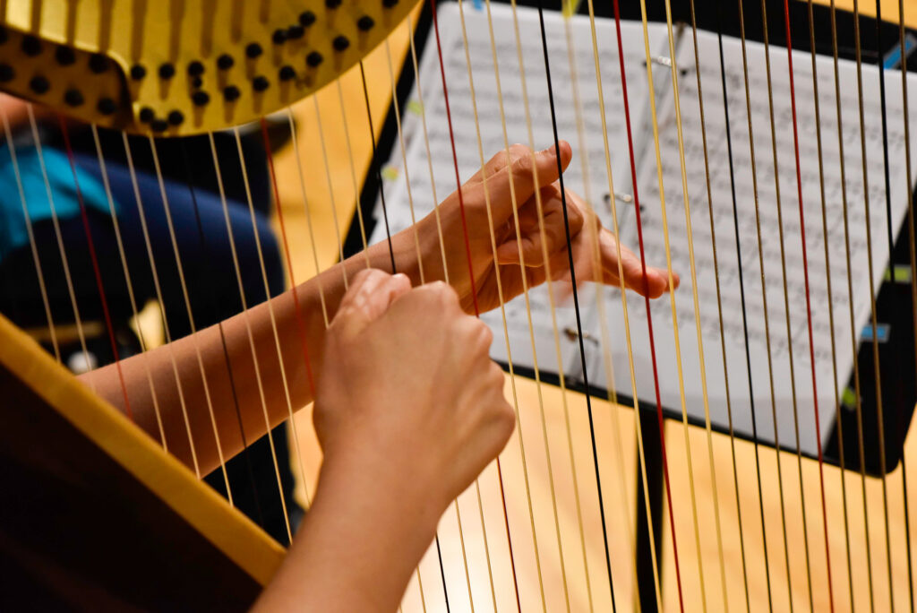 Close-up of a musician's hands plucking the strings of a harp